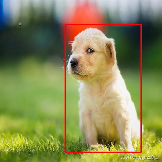 SmartCamera